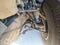 1998 Ford Expedition XLT