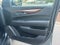 2019 Cadillac Escalade 4WD Luxury