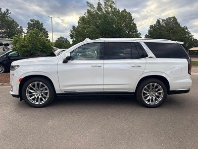 2023 Cadillac Escalade 4WD Premium Luxury Platinum