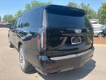 2025 Cadillac Escalade ESV 4WD Sport Platinum