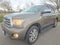 2015 Toyota Sequoia 4WD 5.7L FFV Limited (GS)
