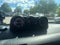 2013 Toyota FJ Cruiser 4WD 4dr Man (Natl)