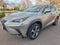 2021 Lexus NX 300h AWD