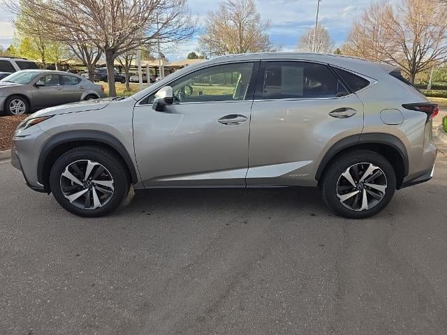 2021 Lexus NX 300h AWD