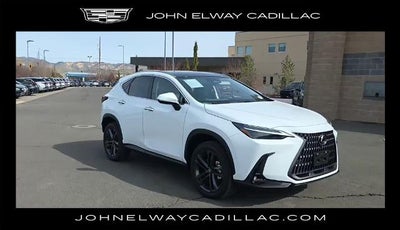 2026 Lexus NX Luxury AWD