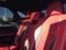 2022 Lexus RX 350 350 F Sport Handling