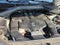 2019 Mercedes-Benz GLS 450