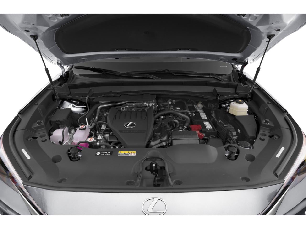 2024 Lexus TX 350 Premium