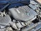 2016 BMW 340i xDrive Sedan