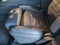 2027 BMW X5 Base