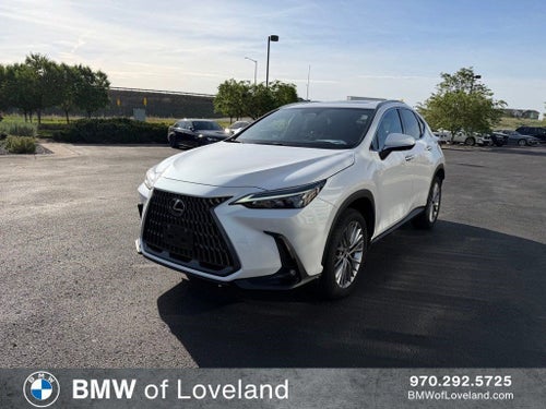 2025 Lexus NX 350h Premium