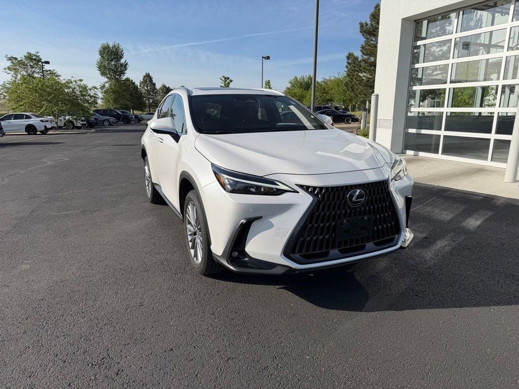 2025 Lexus NX 350h Premium