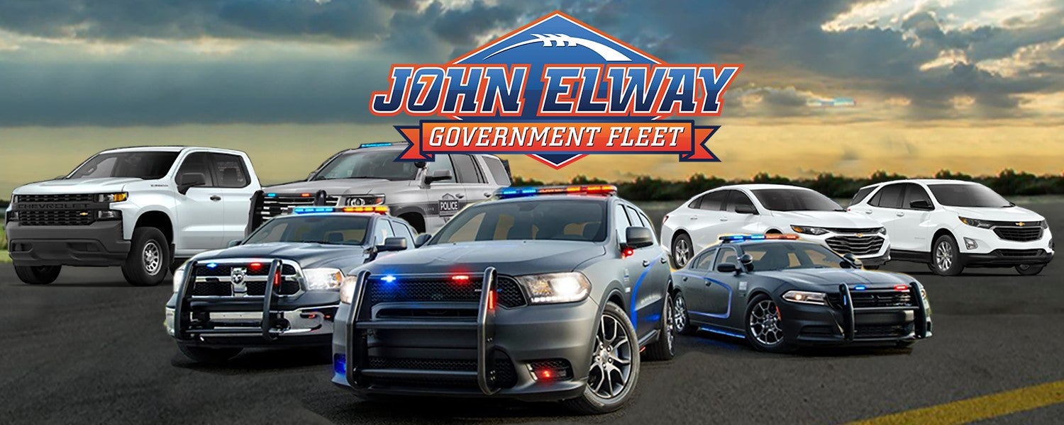 Government Fleet Banner